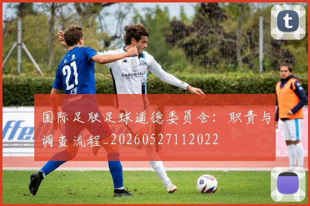国际足联足球道德委员会:职责与调查流程_20260527112022