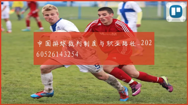 中国排球裁判制度与职业路径_20260526143254