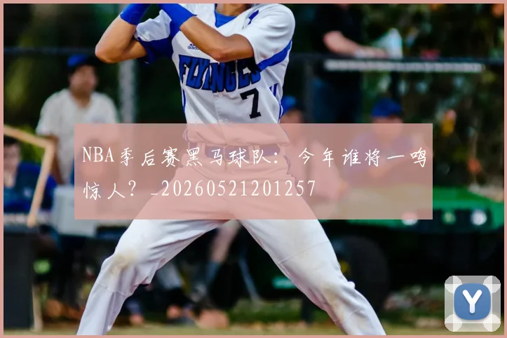 NBA季后赛黑马球队：今年谁将一鸣惊人？_20260521201257
